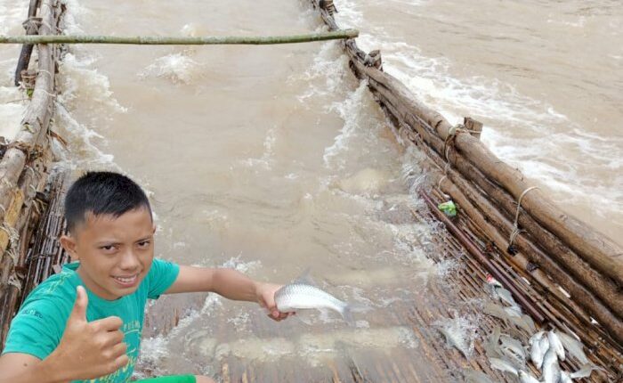 sukam ikan agam 1